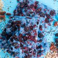 BLUEBERRY ACTION 14