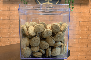 Design sem nome - 2025-09-26T104055.879