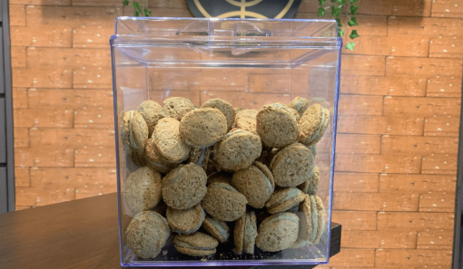 Design sem nome - 2025-09-26T104055.879