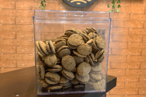 Design sem nome - 2025-09-26T104953.387