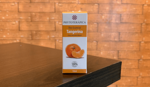 Design sem nome - 2025-12-06T150949.602