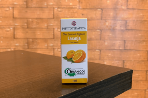 Design sem nome - 2025-12-08T122255.426